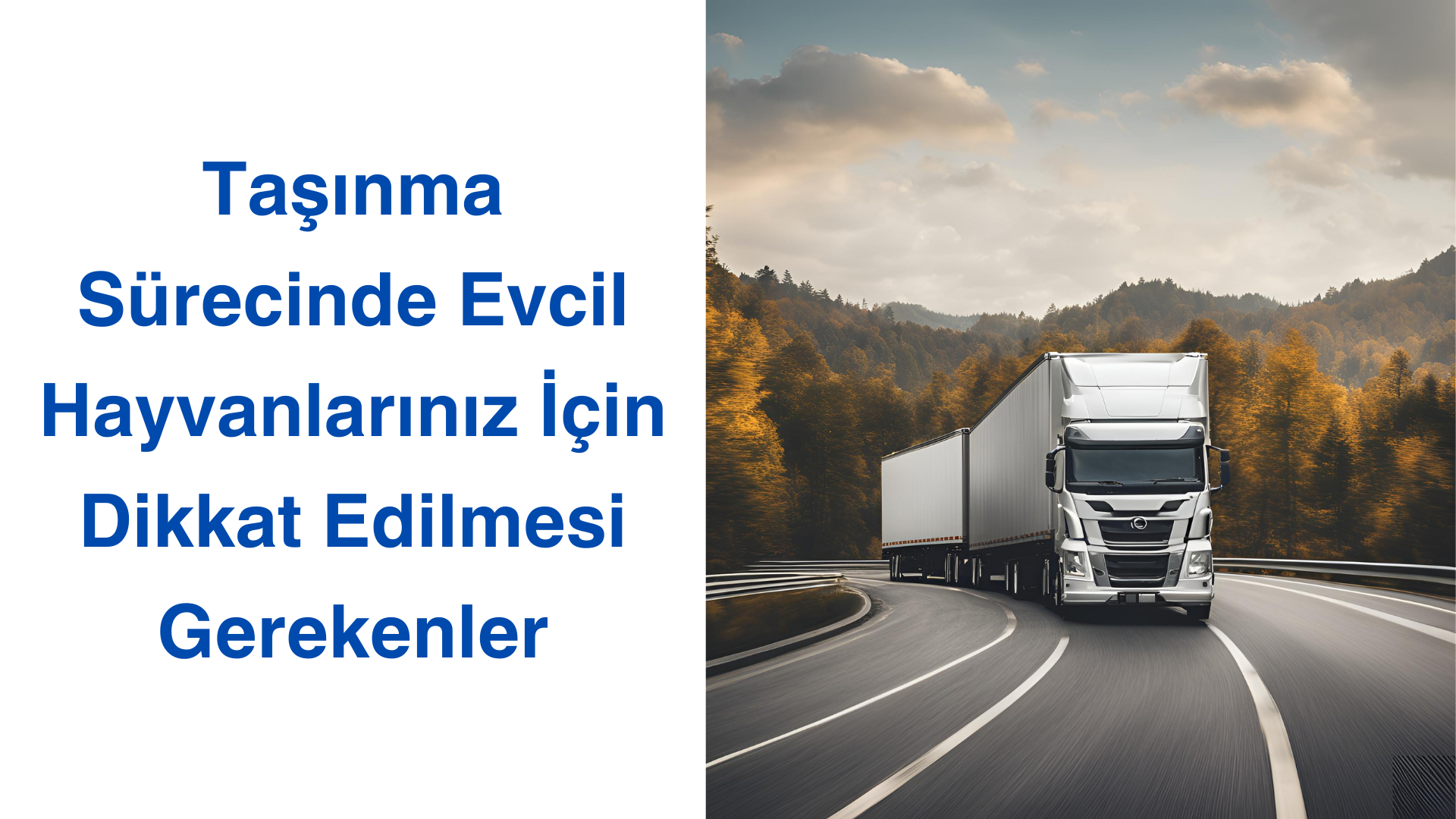 Taşınma Sürecinde Evcil Hayvanlarınız İçin Dikkat Edilmesi Gerekenler